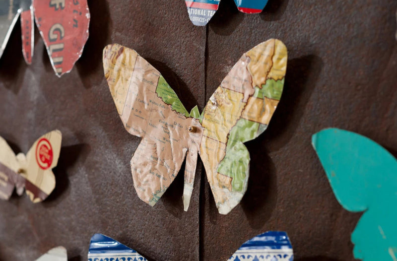 Dolan Geiman Texas Butterflies Detail