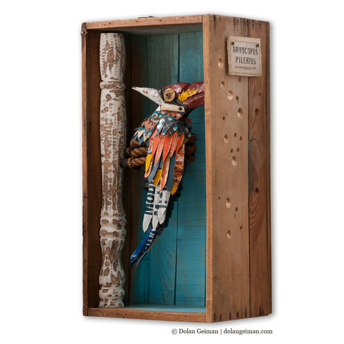 Dolan Geiman The King Faux Taxidermy Woodpecker Bird Diorama