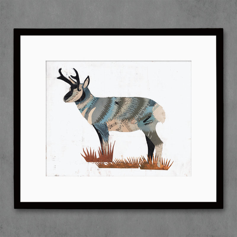 main image for ANIMALS OF NORTH AMERICA: PRONGHORN limited edition paper print