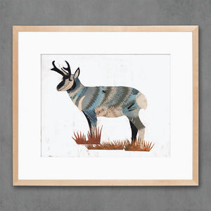 thumbnail for ANIMALS OF NORTH AMERICA: PRONGHORN limited edition paper print