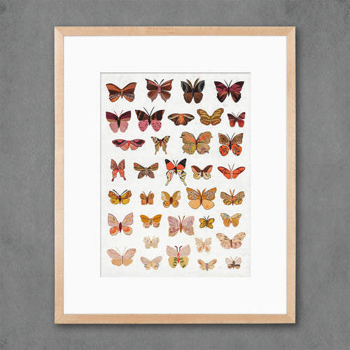 BUTTERFLIES (DAWN) limited edition paper print