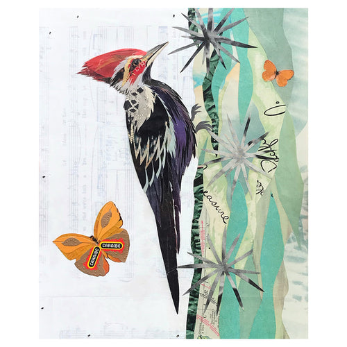 PILEATED WOODPECKER (small work) original paper collage