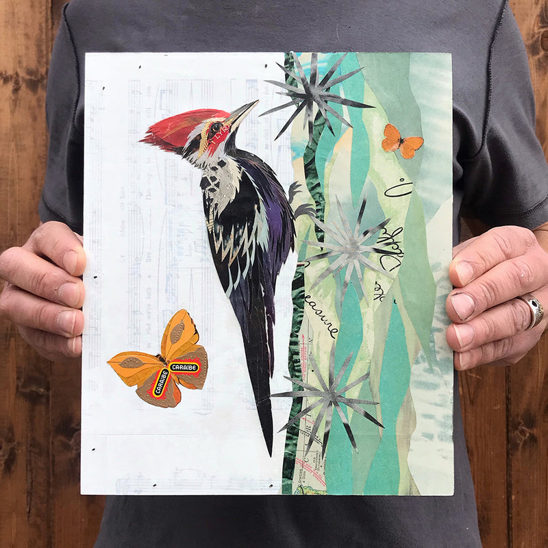 main image for PILEATED WOODPECKER (small work) original paper collage